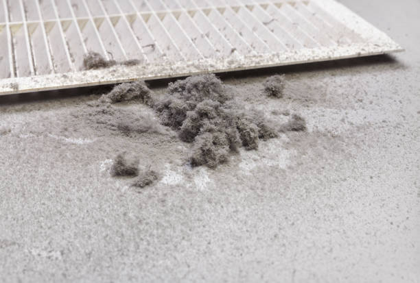 Best Air Duct Inspection  in Willoughby, OH