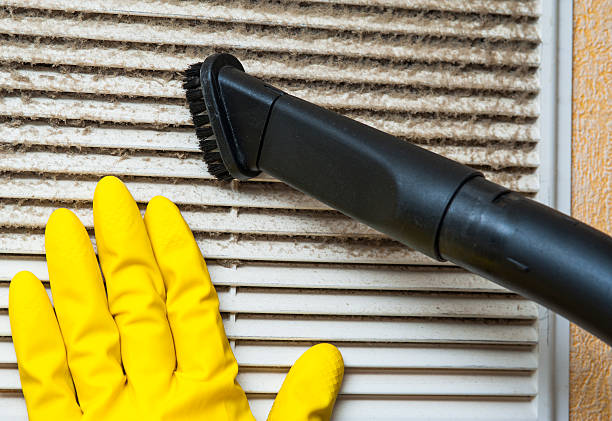 Best HVAC System Cleaning  in Willoughby, OH
